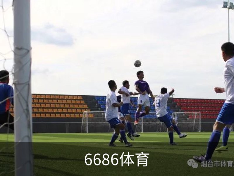 6686体育概况
